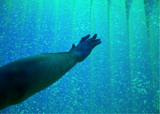 2016/2017 – Stanza Multisensoriale